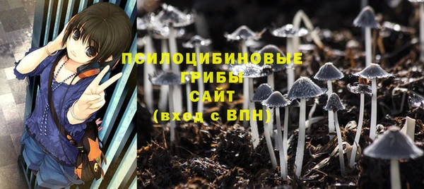 стафф Балабаново