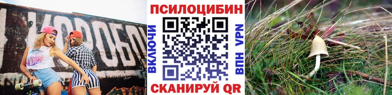 Галлюциногенные грибы мухоморы  дарнет шоп  Яблоновский 